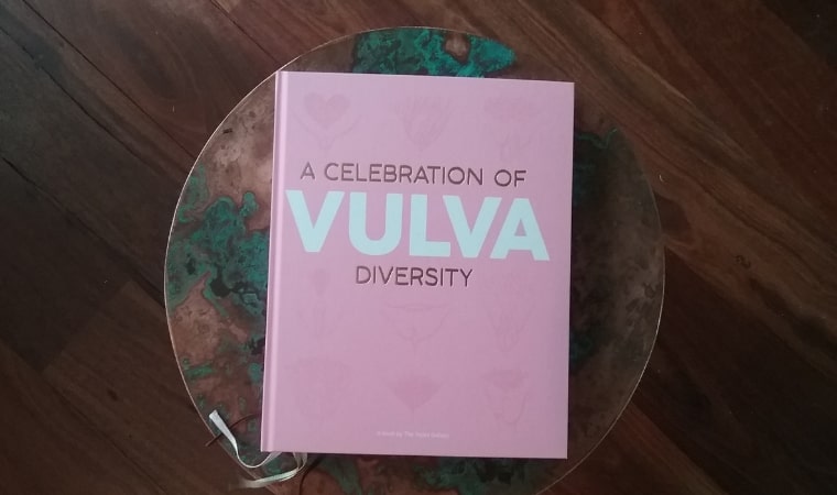 cover of a celebration of vulva diversity