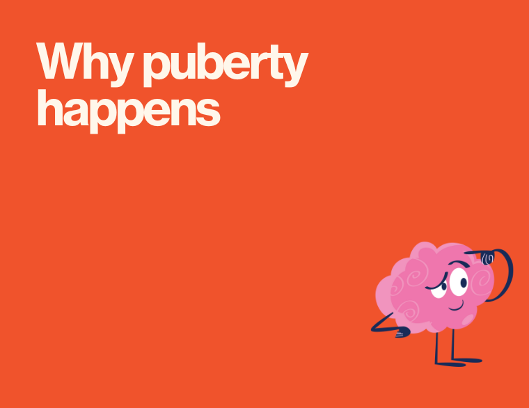 coloured background and title of post on why does puberty happen