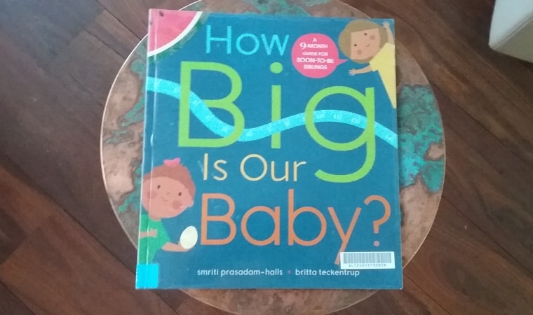 cover of How big is our baby by smriti prasadam halls