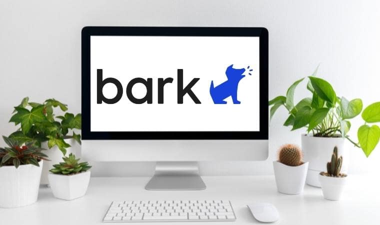 bark parental controls logo on a desktop computer