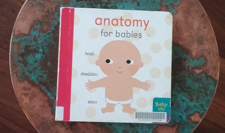cover of Anatomy for Babies: Baby101 by Jonathan Litton