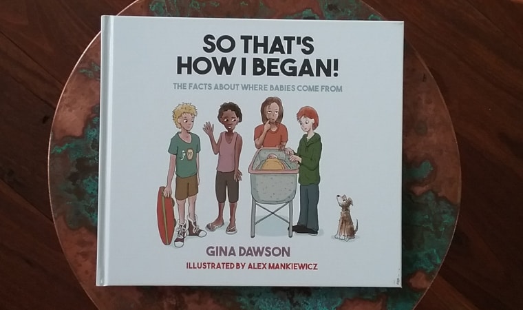 cover of So That's How I began by Gina Dawson