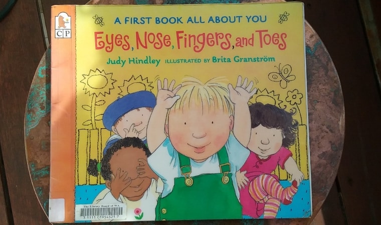cover of Eyes, Nose, Fingers and Toes by Judy Hindley