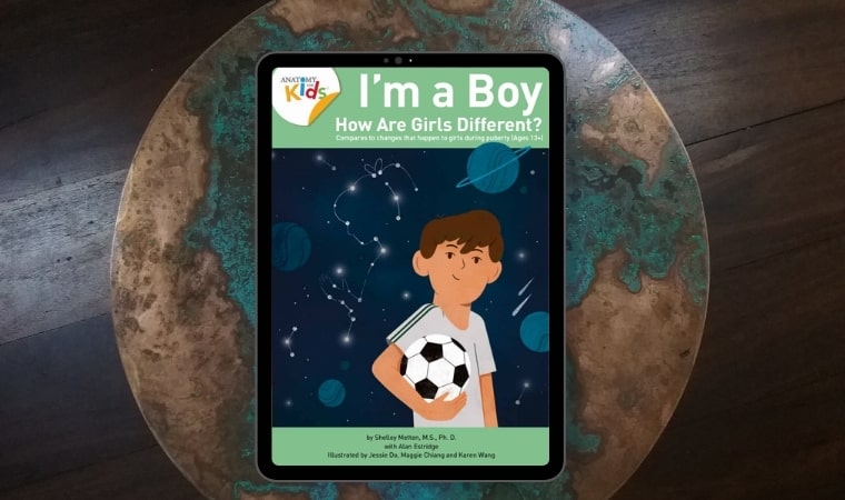 cover of I’m a Boy, How Are Girls Different? by Shelley Metten
