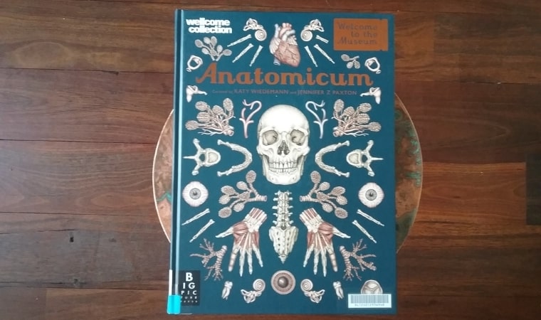 cover of Anatomicum by Katie Wiederman & Jennifer Z Paxton