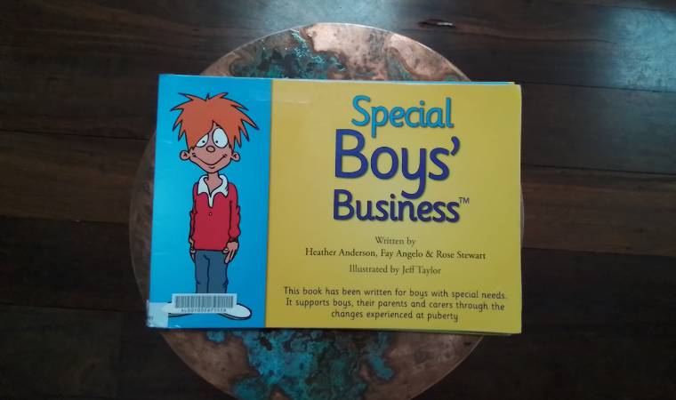 cover of special boys business disability book