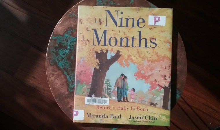 cover of Nine Months: Before a Baby Is Born by Miranda Paul