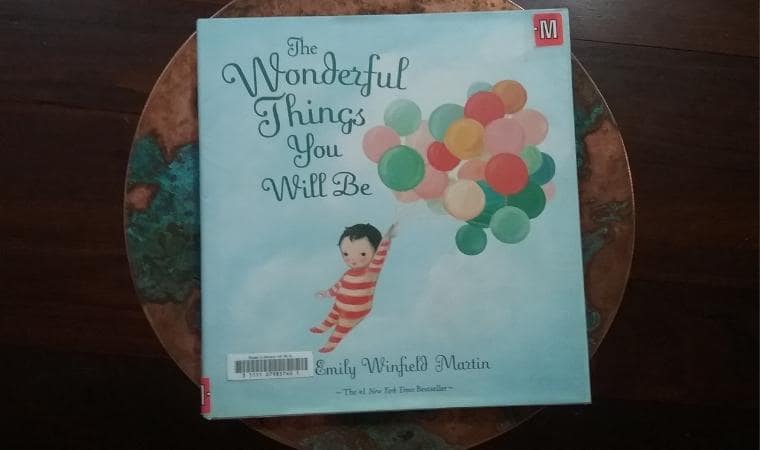 cover of the wonderful things you will be by emily winfield martin