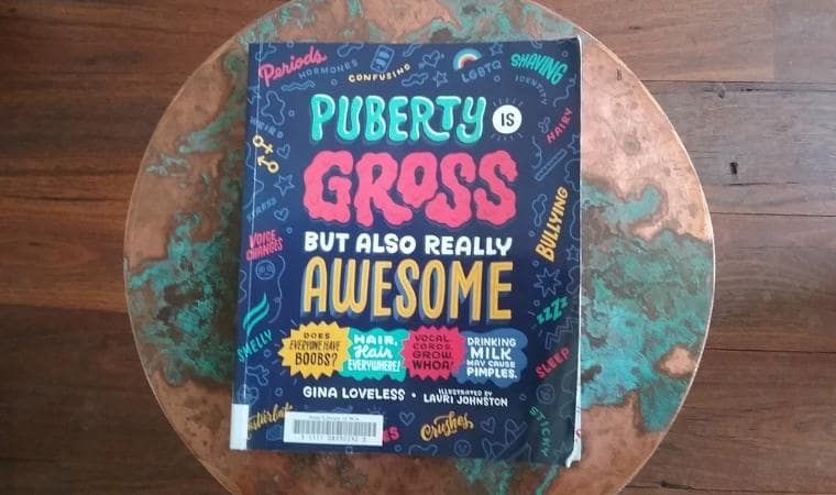 cover of puberty is gross but also really awesome by gina loveless