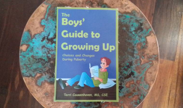 cover of The Boys' Guide to Growing Up by Terri Couwenhoven