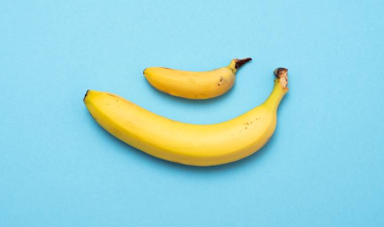 a large and small banana on a blue background to illustrate penis size