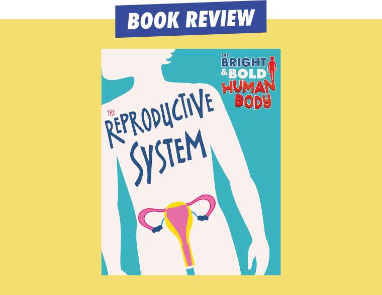 cover of The Reproductive System (The Bright and Bold Human Body)