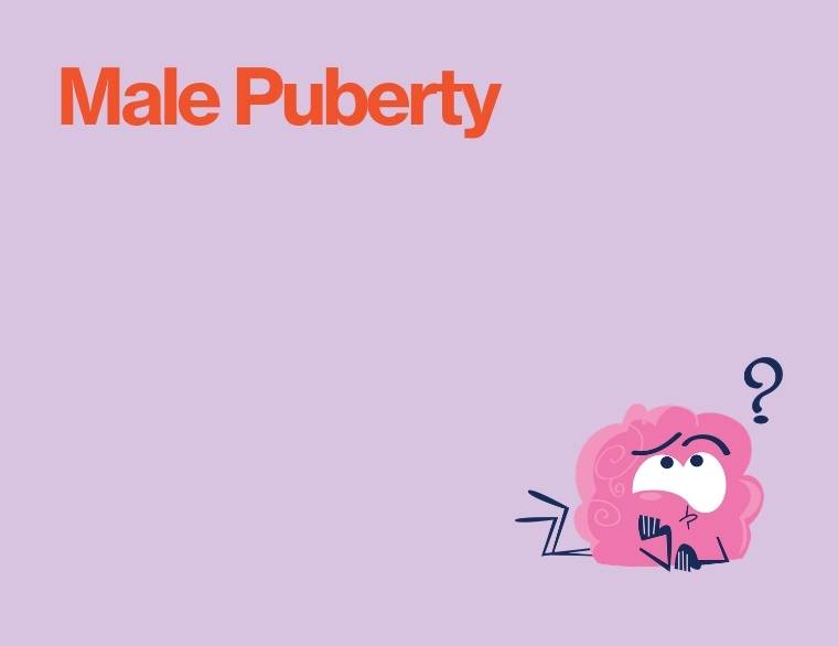 title of blogpost on a coloured background on male puberty