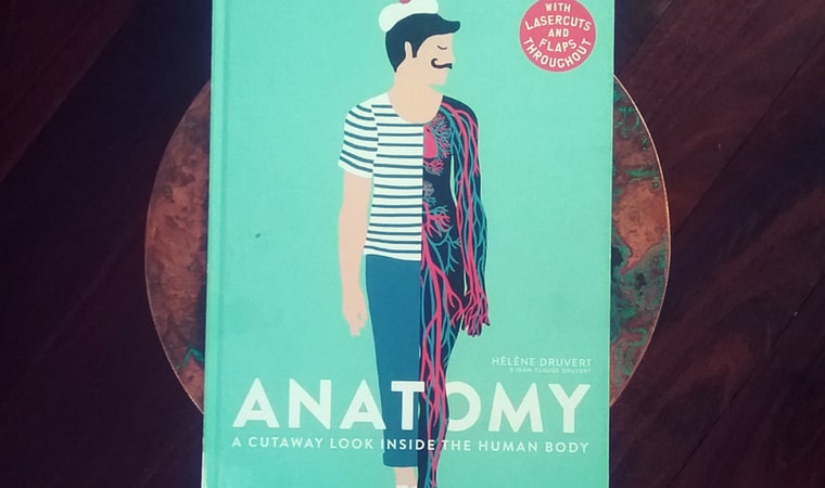 cover of Anatomy A Cutaway Look Inside the Human Body by Jeane-Claude Druvert