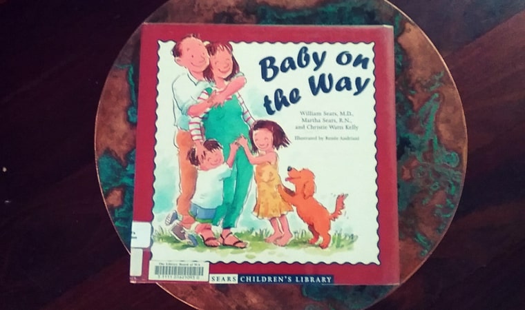 cover of Baby on the Way by William & Martha Sears