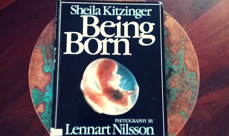 cover of Being Born by Sheila Kitzinger and Lennart Nilsson