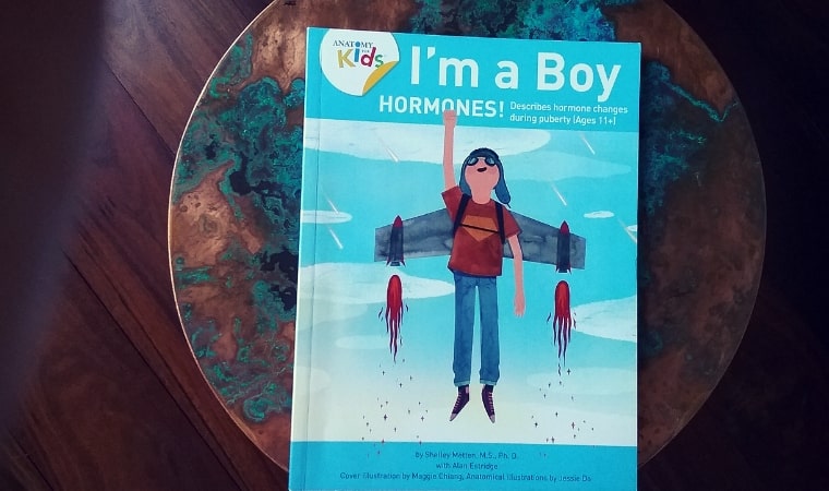 cover of I'm a Boy: Hormones by Shelley Metten