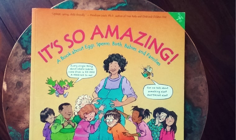 cover of It’s so Amazing A Book about Eggs, Sperm, Birth, Babies, and Families by Robie H. Harris