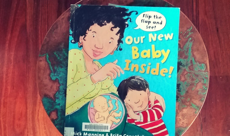 cover of Our New Baby Inside by Mick Manning