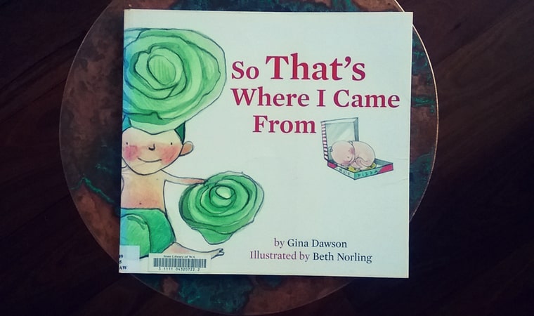 cover of So That's Where I Came from by Gina Dawson