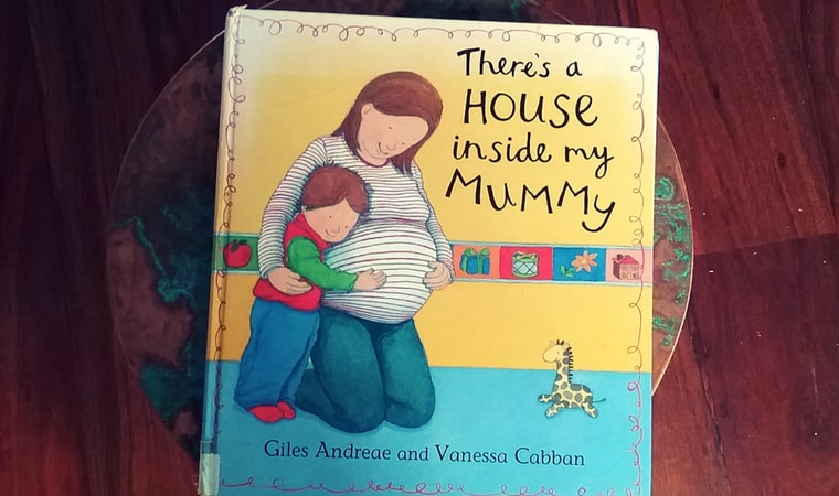 cover of There's a House inside my Mummy by Giles Andreae
